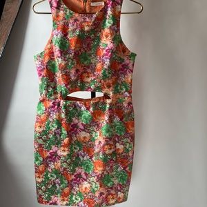 Lush Floral dress